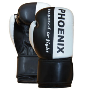 PX Boxhandschuh "Prepared to Fight" PU s/w